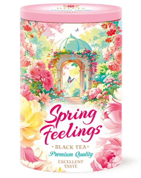 Чай черный Hyleys "Спринг филлингс" Ротонда 80 г ж/б